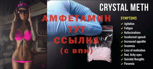 хмурый Аркадак