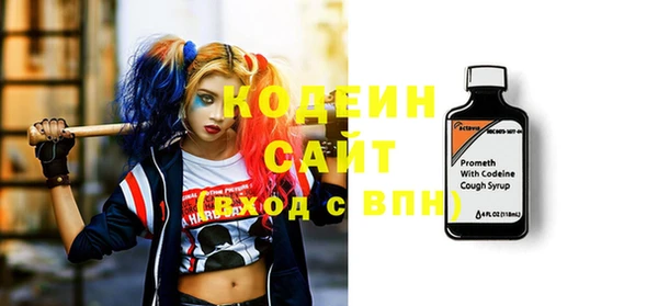хмурый Аркадак