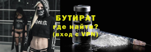 хмурый Аркадак