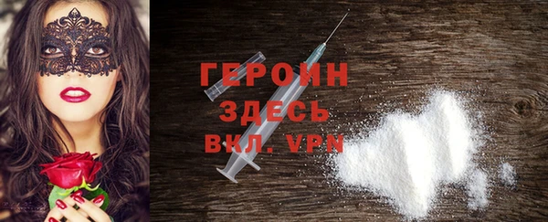хмурый Аркадак