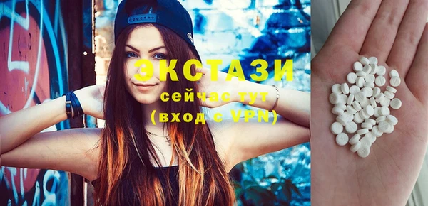 хмурый Аркадак