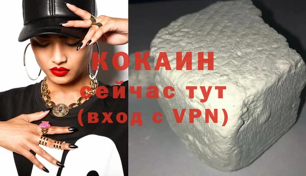 хмурый Аркадак