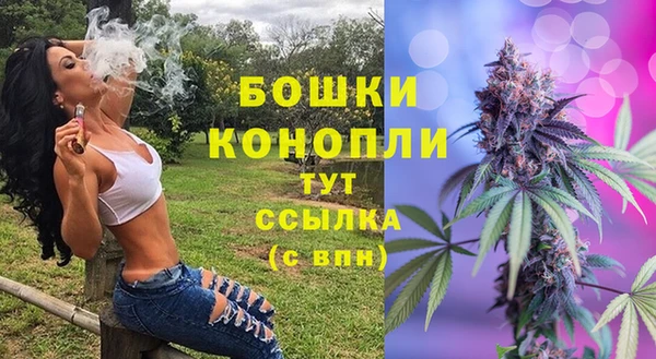 хмурый Аркадак
