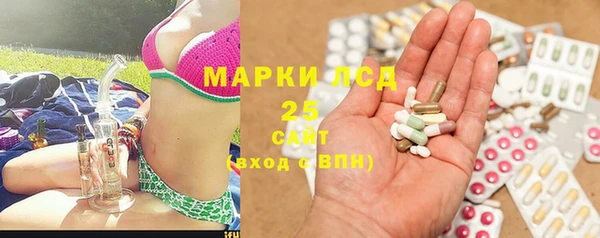 хмурый Аркадак